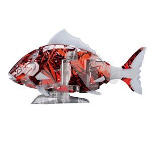 MIR0-9機器魚